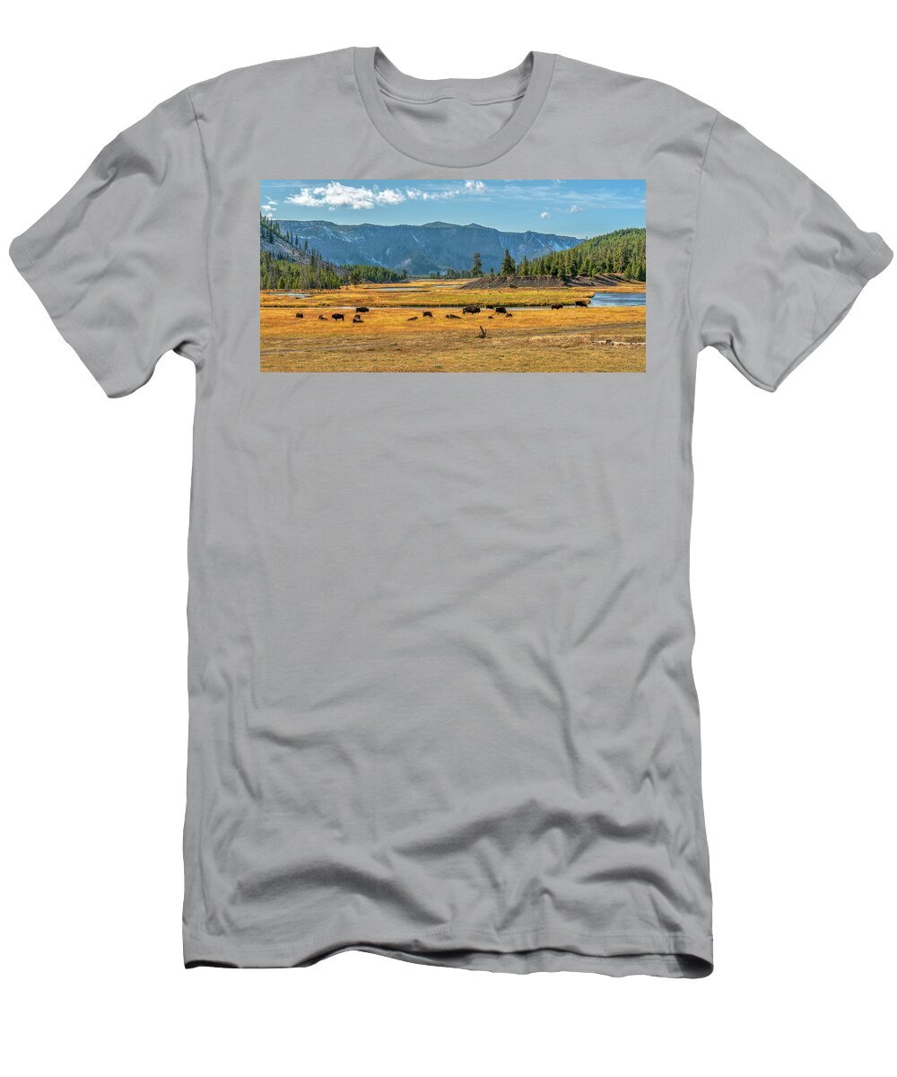 Yellowstone T-Shirt featuring the photograph Bison Roaming Madison River in Yellowstone by Kenneth Everett