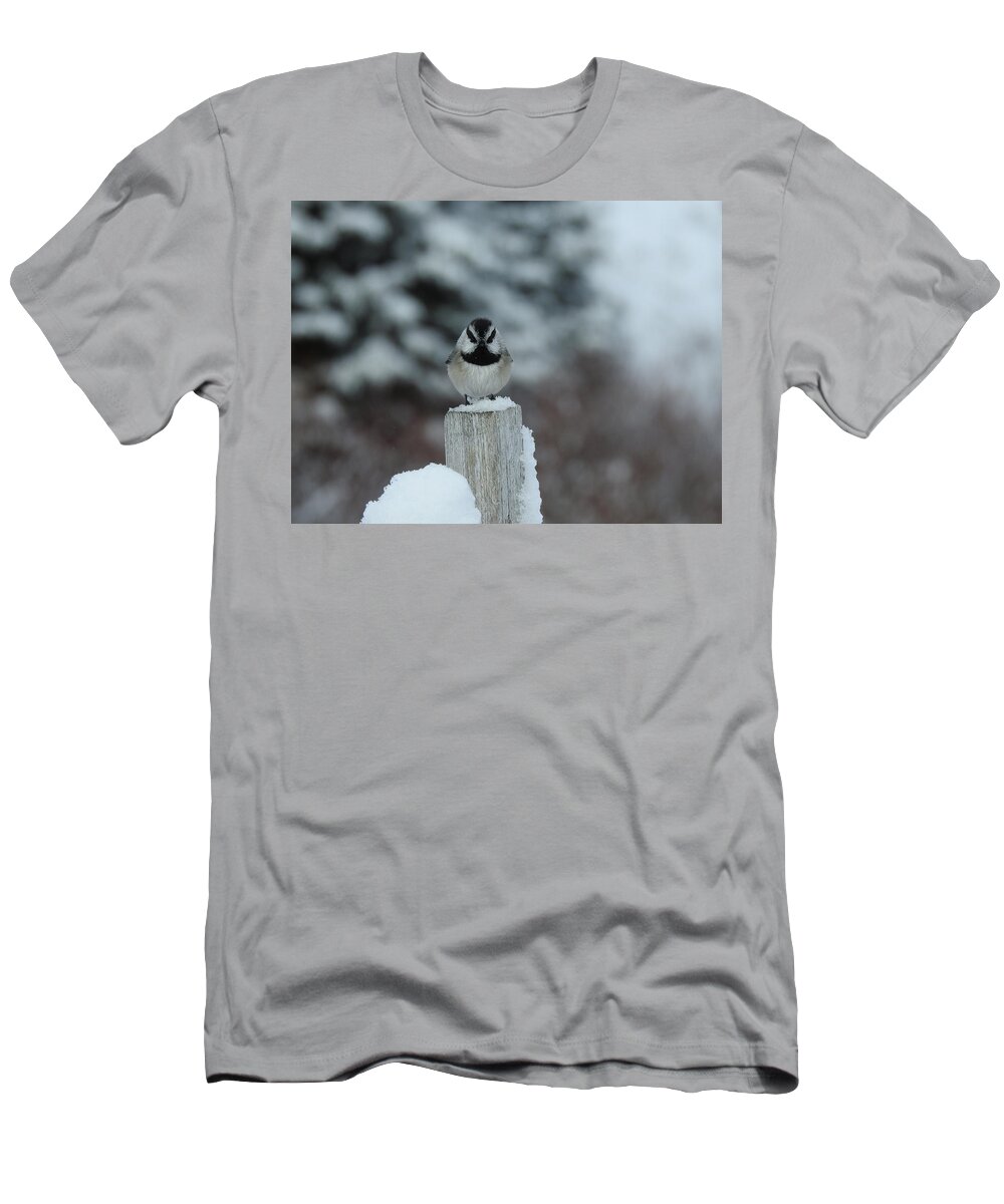 Black Capped Chickadee T-Shirt featuring the photograph Black Capped Chickadee by Nicola Finch