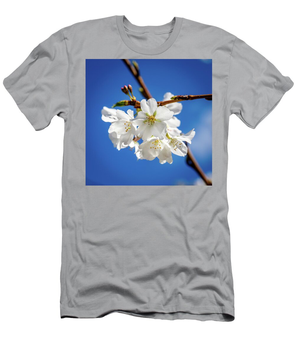 Cherry T-Shirt featuring the photograph Blossoms by David Beechum