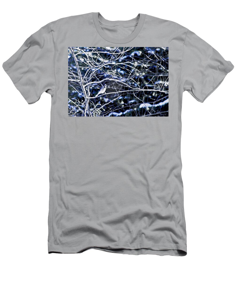 Interior Blue Jay T-Shirt featuring the photograph Blue and White Beauty by Susan Maxwell Schmidt