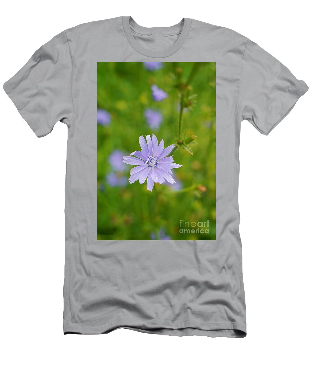 Wildflower T-Shirt featuring the photograph Blue Chicory Wildflower by Claudia Zahnd-Prezioso