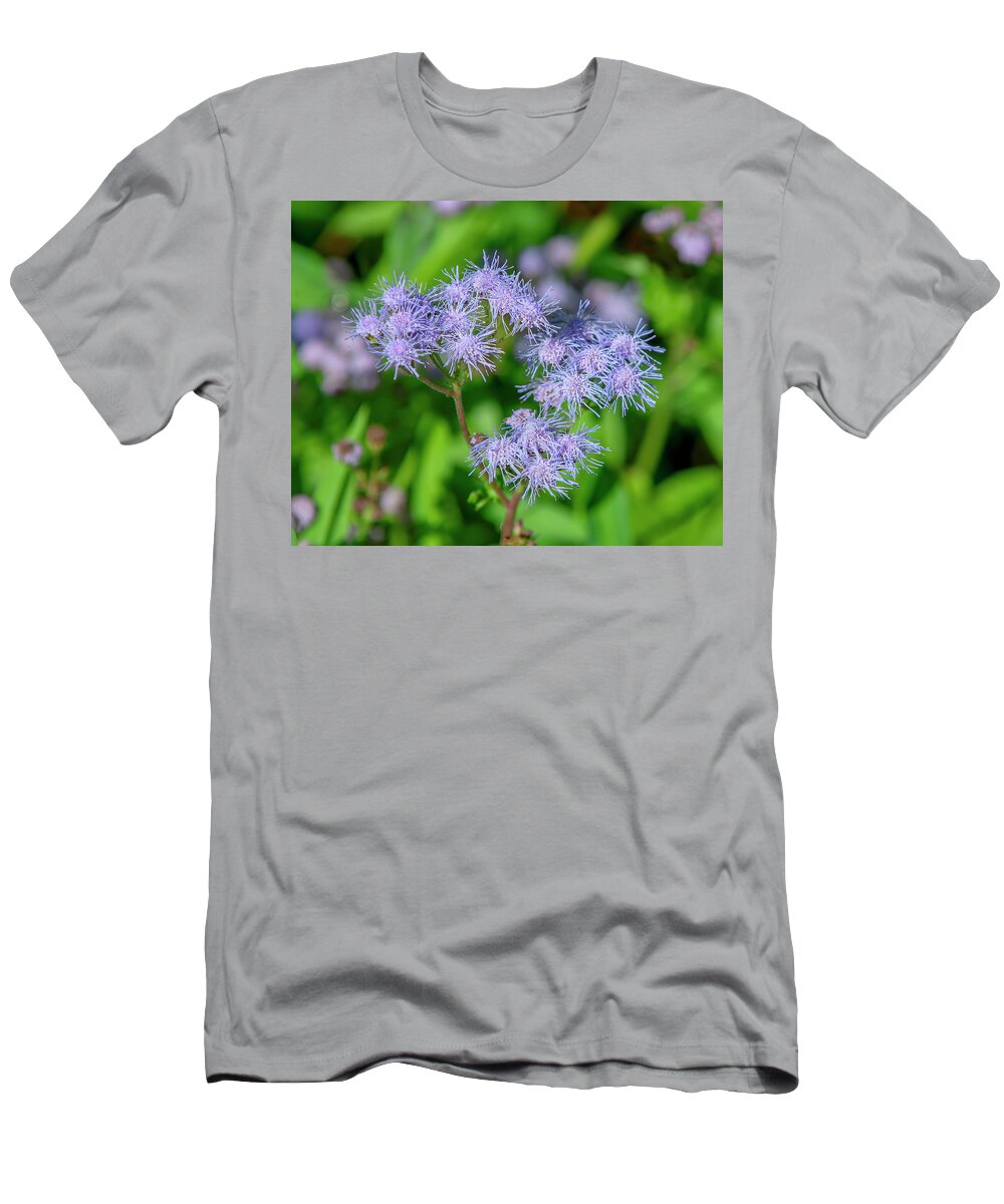Aster Family T-Shirt featuring the photograph Blue Mistflower DFL1215 by Gerry Gantt