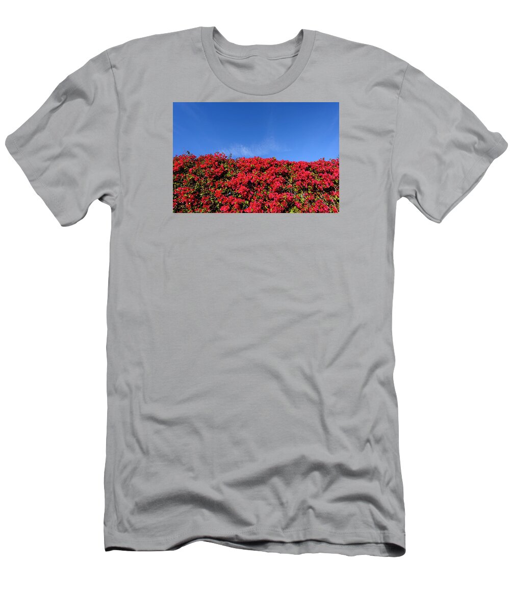 Blue Sky T-Shirt featuring the photograph Bougainvillea Palm Springs California 0437 by Amyn Nasser