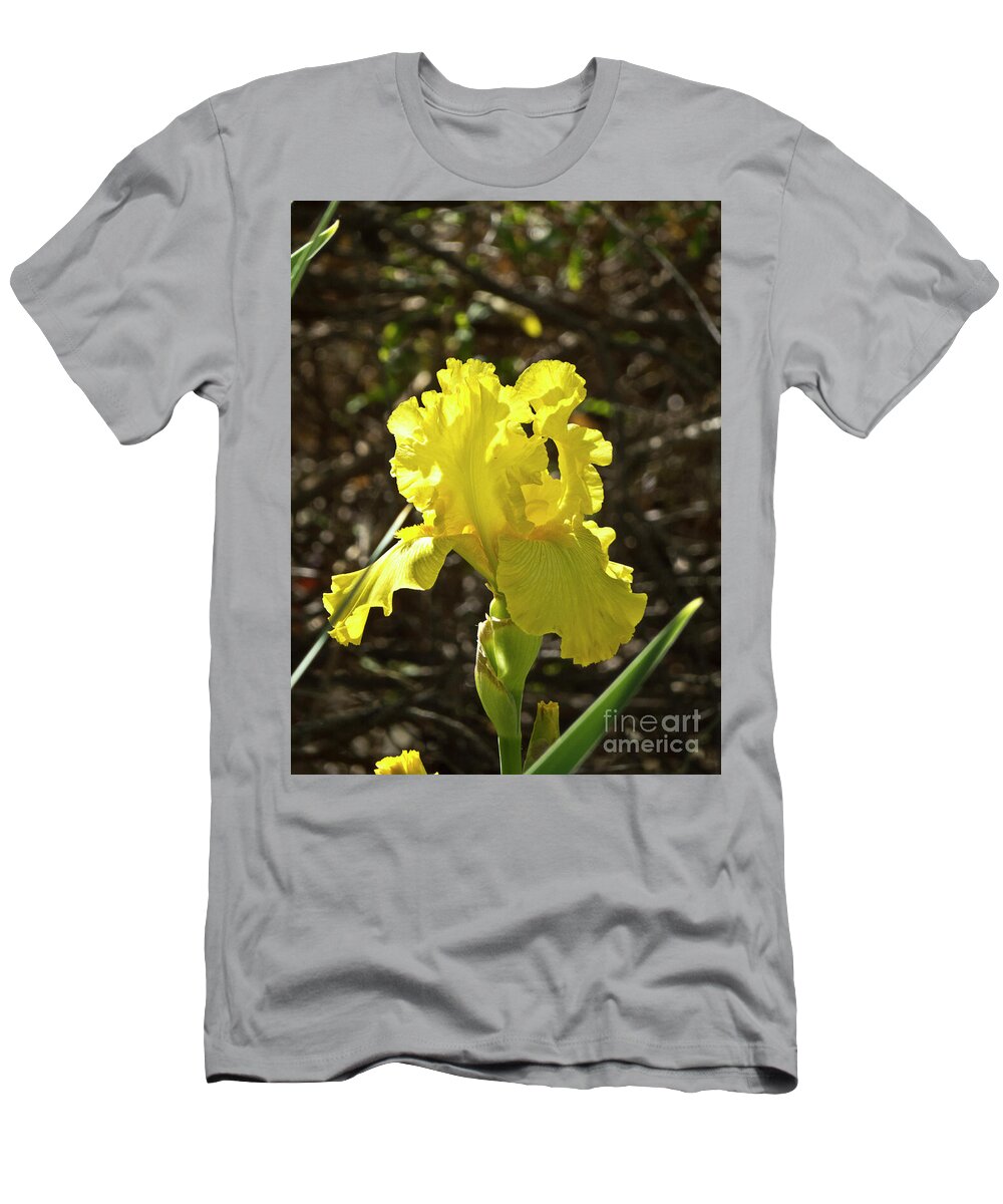 Boyce Thompson Arboretum T-Shirt featuring the photograph Bright Yellow in the Sun by Kathy McClure