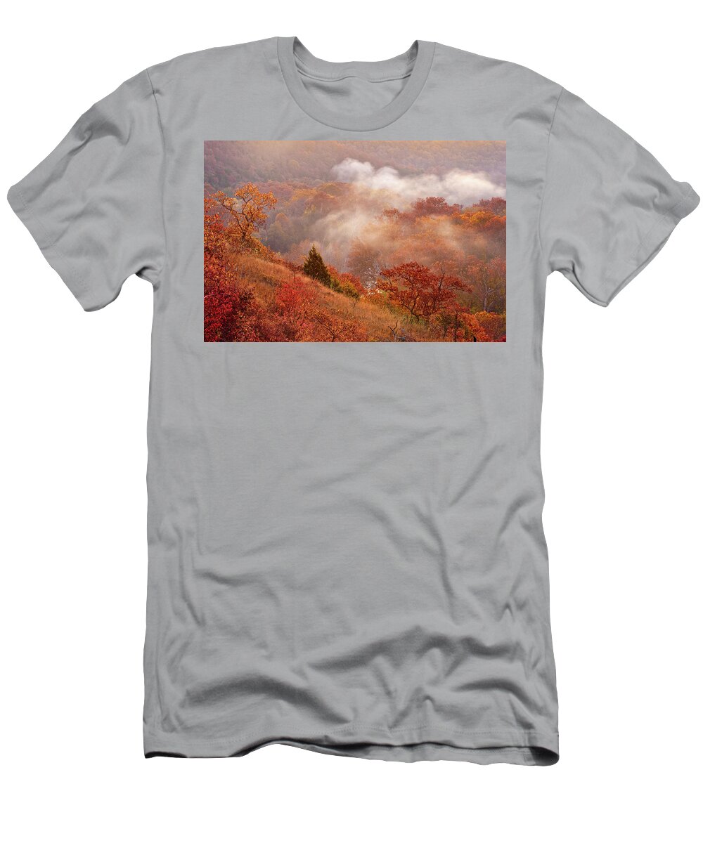 Mist T-Shirt featuring the photograph Burnt MIll Cave Conservation Area in Missouri by Robert Charity