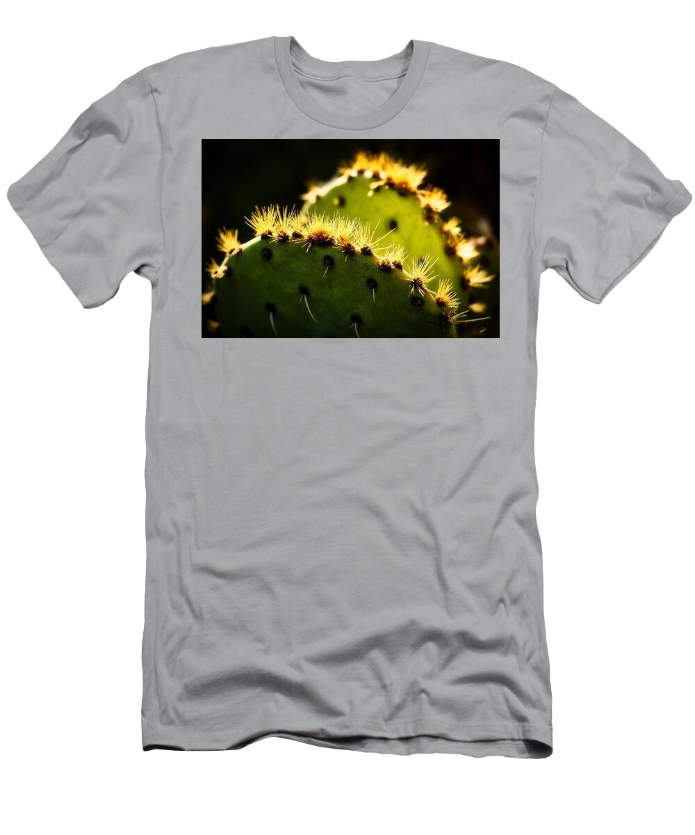 Cactus T-Shirt featuring the photograph Cactus at Dawn - Sedona by Stuart Litoff