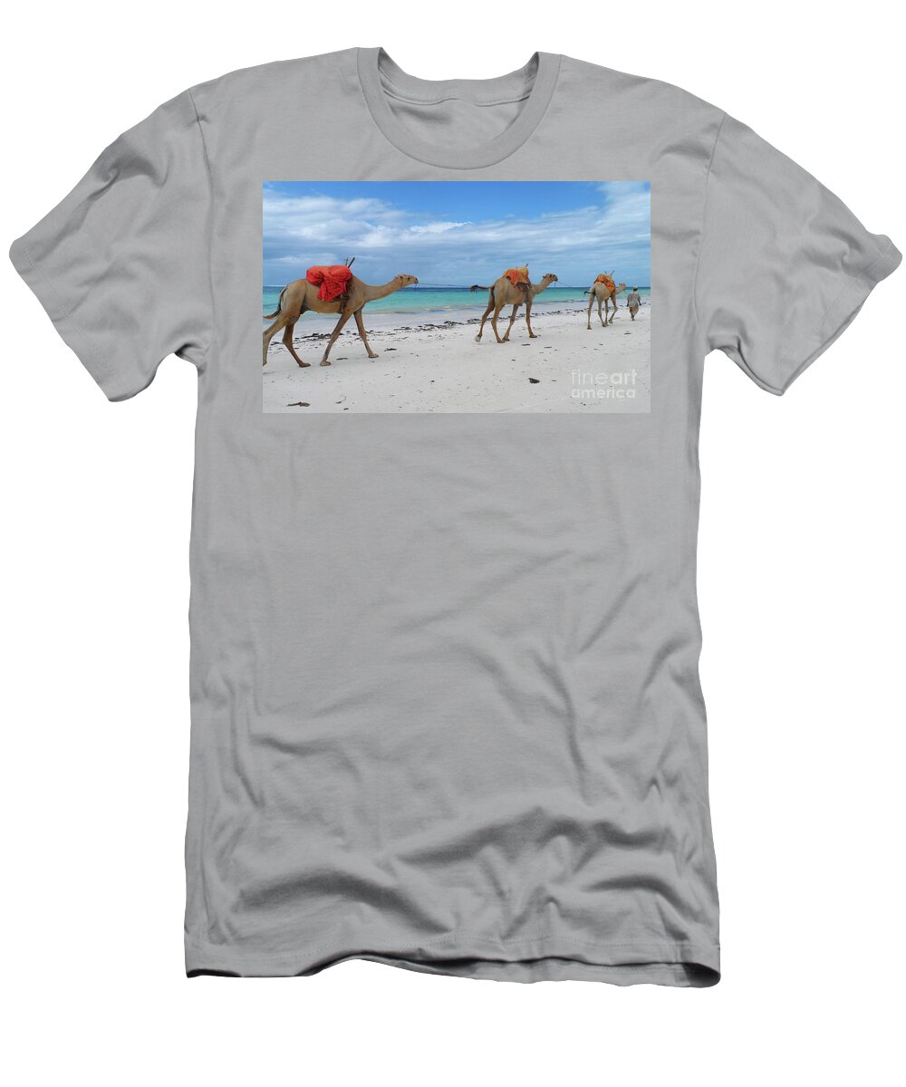 Beach T-Shirt featuring the photograph Camels crossing a white beach in Mombasa, Kenya by Mendelex Photography