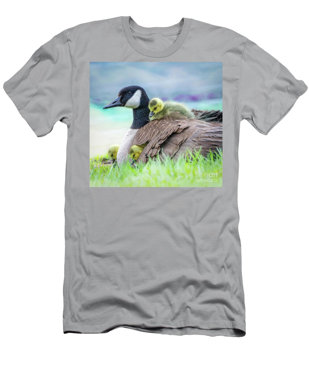 Mom Canada Goose Kkeeping The Chicks Warm. T-Shirt featuring the photograph Canada Goose with Chicks by Sandra Rust