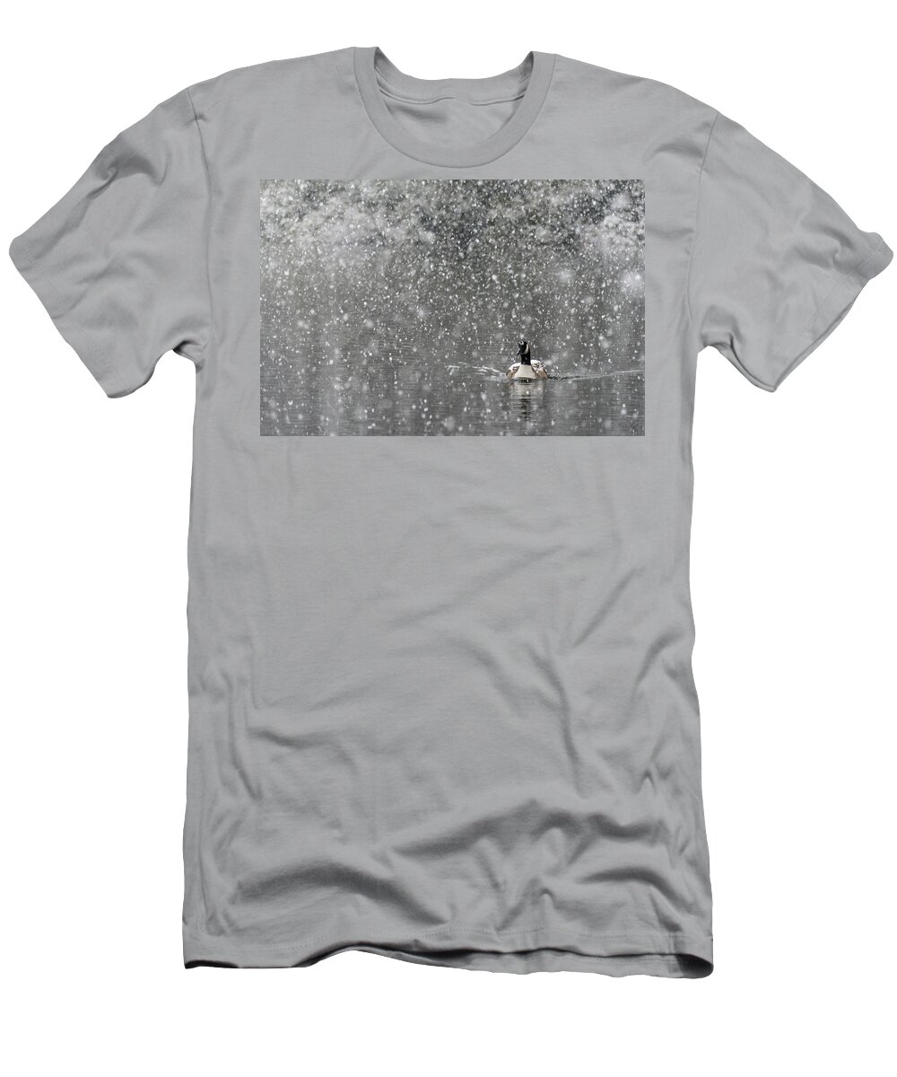 North America T-Shirt featuring the photograph Canadian Goose in Snow 1 by Melissa Southern