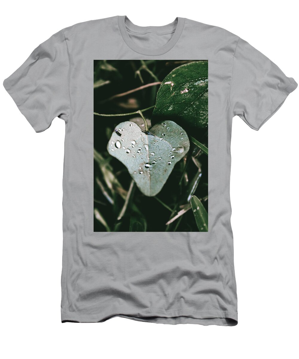 Cocculus Carolinus T-Shirt featuring the photograph Carolina Coralbead Heart Leaf by W Craig Photography