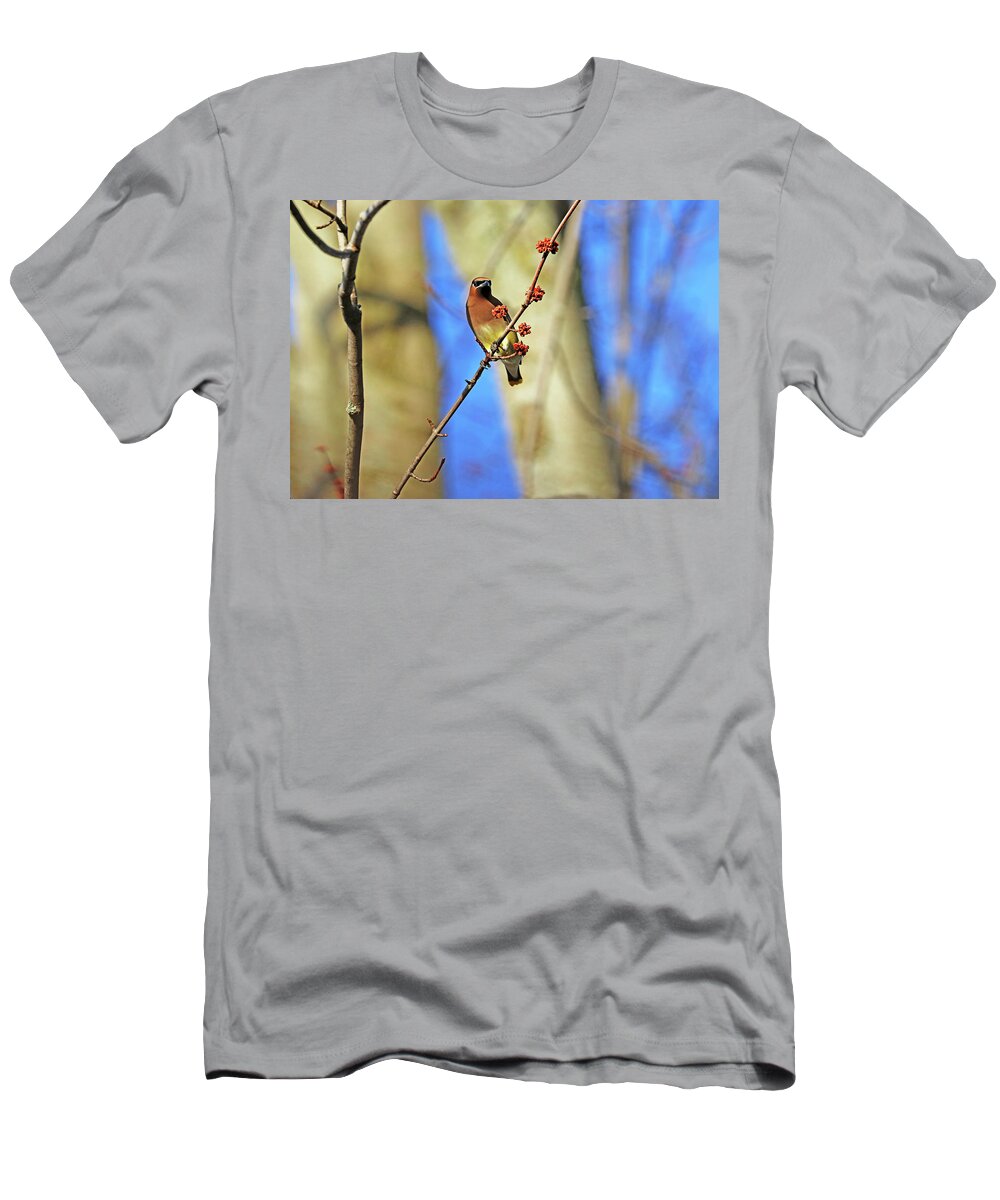 Cedar Waxwing T-Shirt featuring the photograph Cedar Waxwing In Spring Maple Tree by Debbie Oppermann