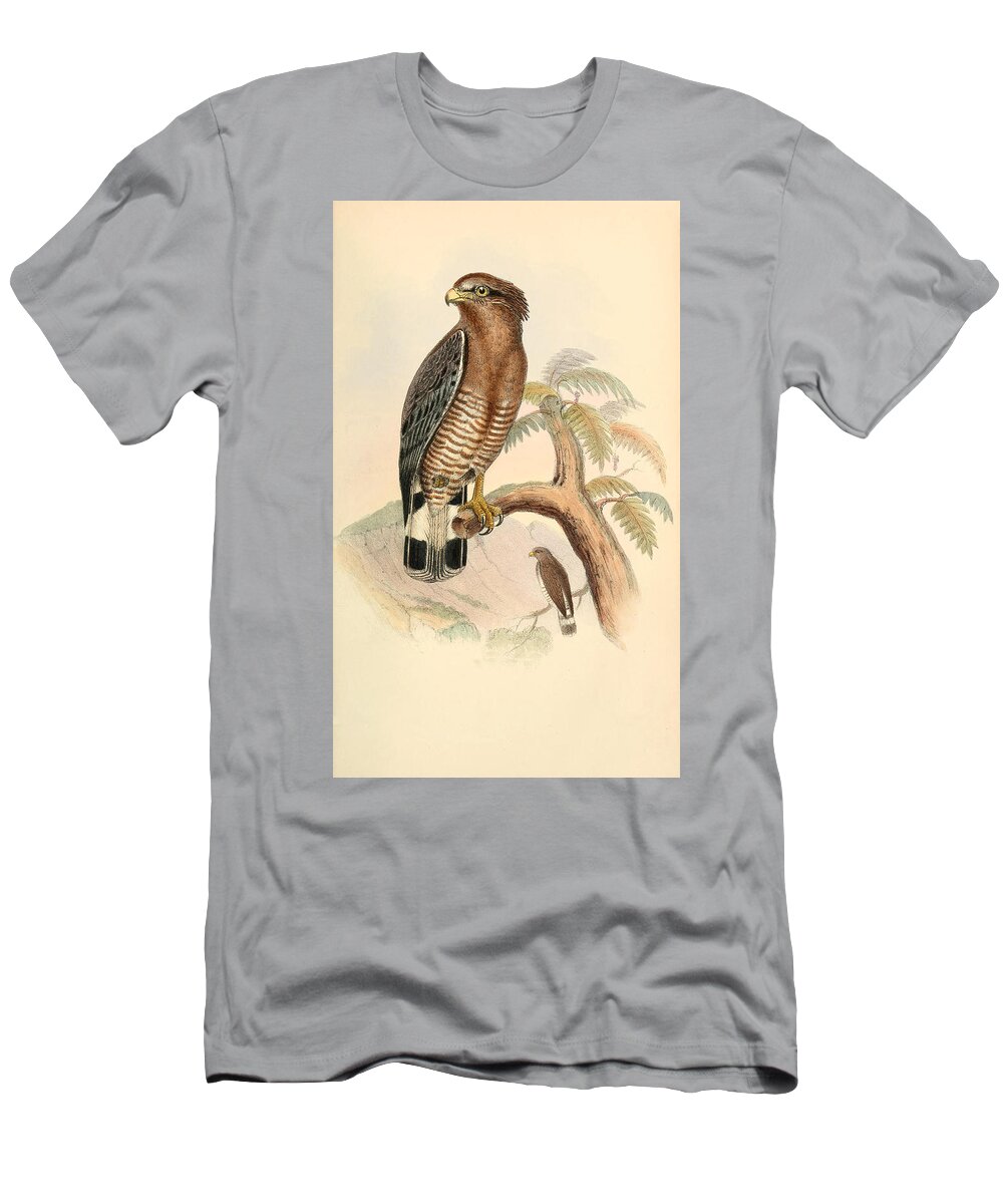 John Jennens T-Shirt featuring the drawing Circaetus cinerascens by John Jennens