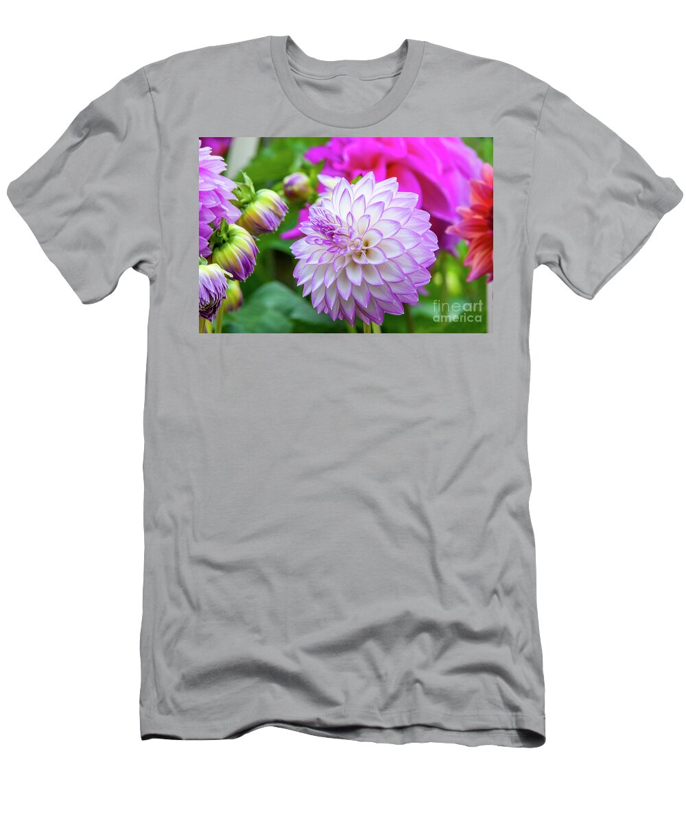 Clearview David Dahlia T-Shirt featuring the photograph Clearview David Dahlia, 22-1 by Glenn Franco Simmons