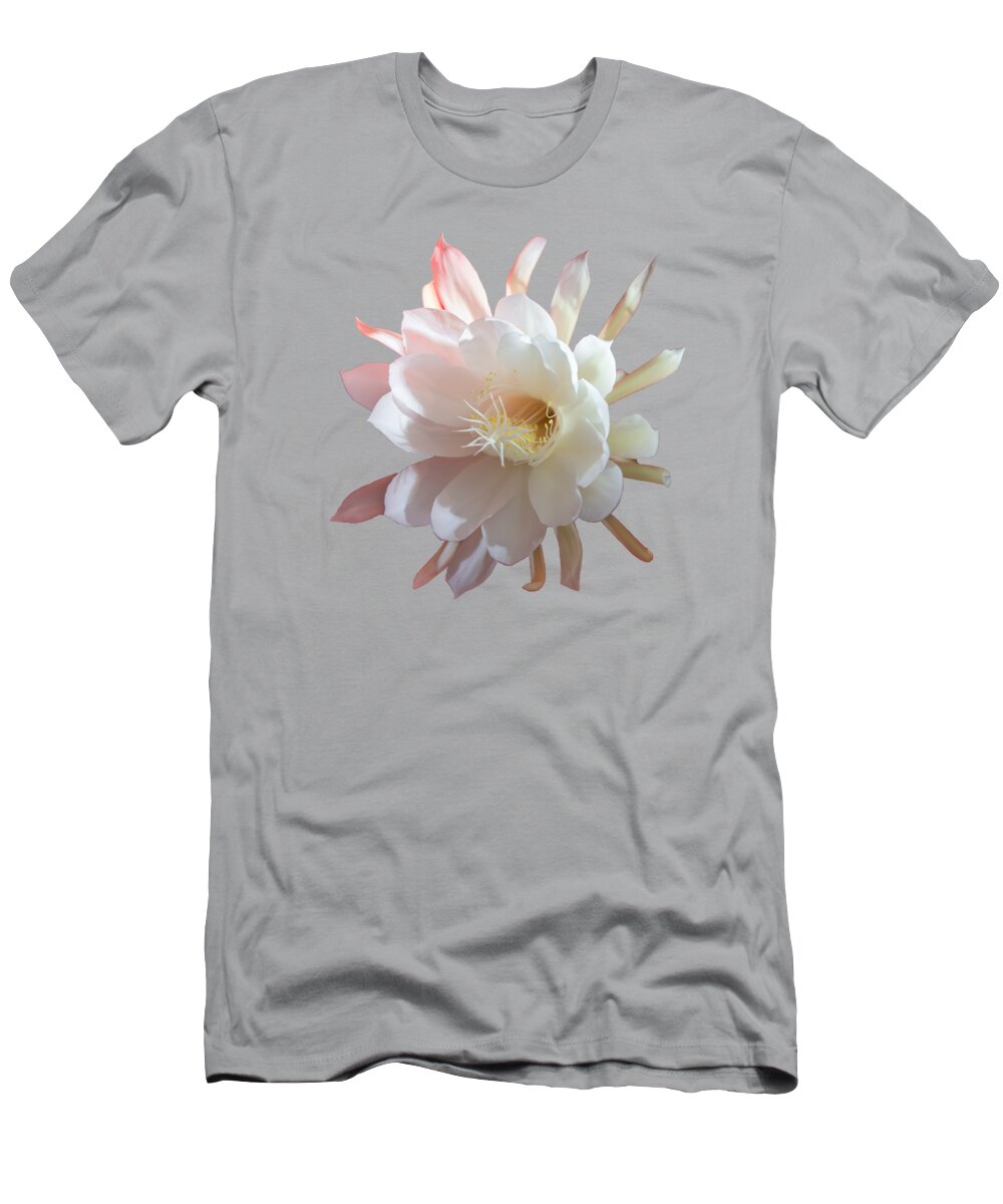 Flower T-Shirt featuring the photograph Climbing cactus in blossom on red with reflection by Zina Stromberg