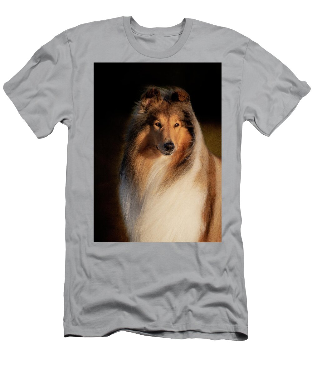 Collie T-Shirt featuring the photograph Collie Rough Portrait by Diana Andersen