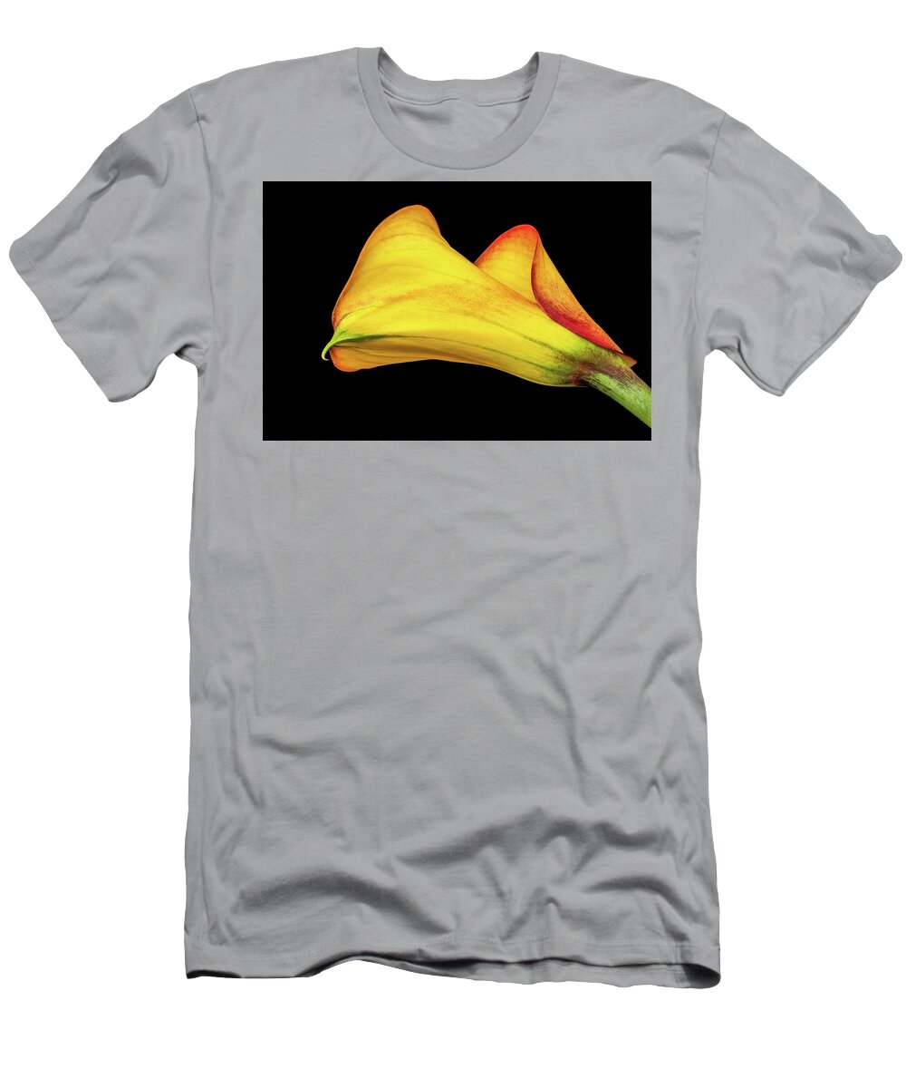 Calla Lily T-Shirt featuring the photograph Colorful Elegance by Elvira Peretsman