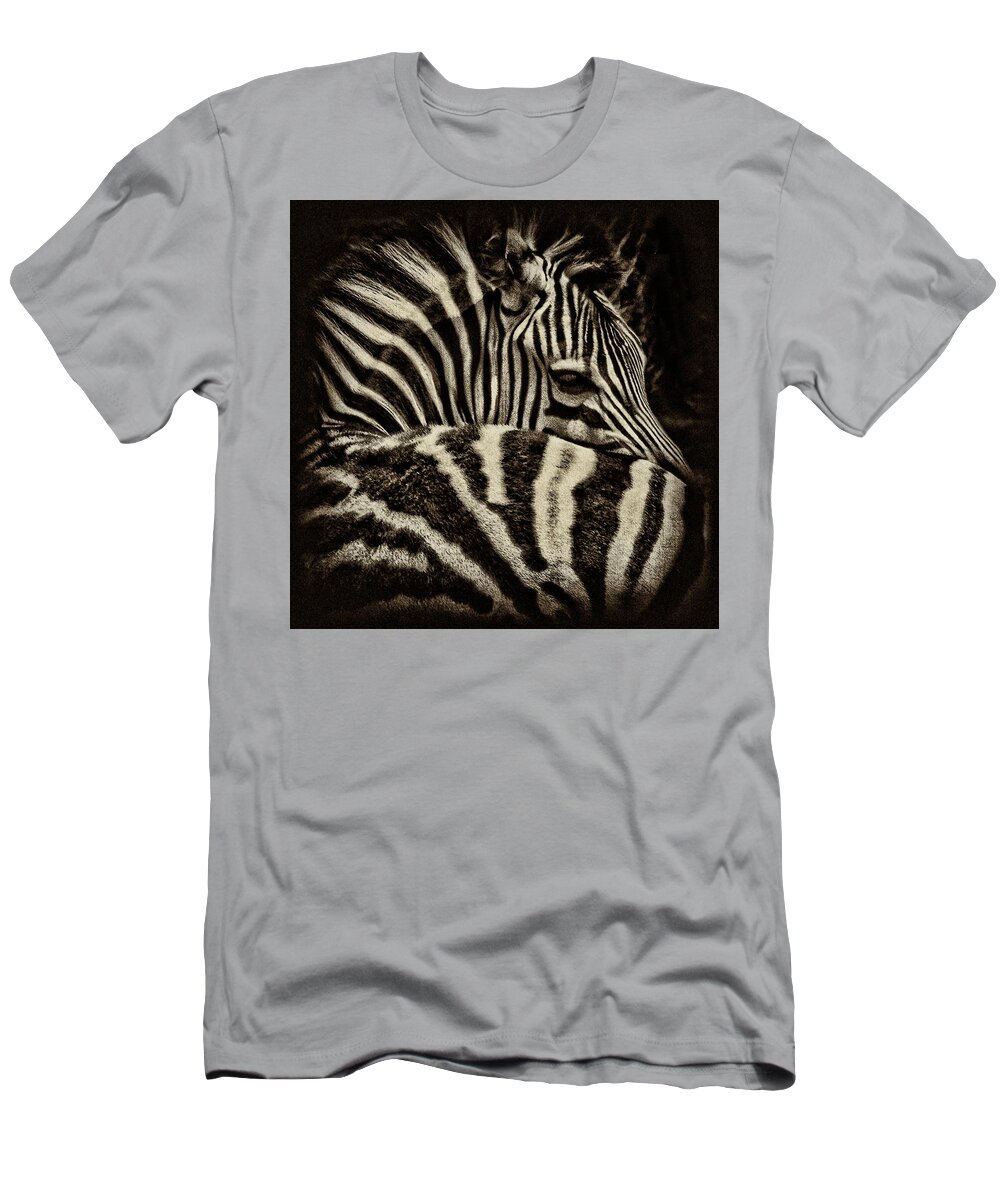 Zebra T-Shirt featuring the photograph Comfort by Andrew Paranavitana