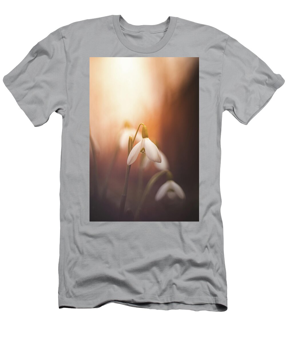Europe T-Shirt featuring the photograph Common snowdrop at sunset. Magic flower sprouting from the soil by Vaclav Sonnek