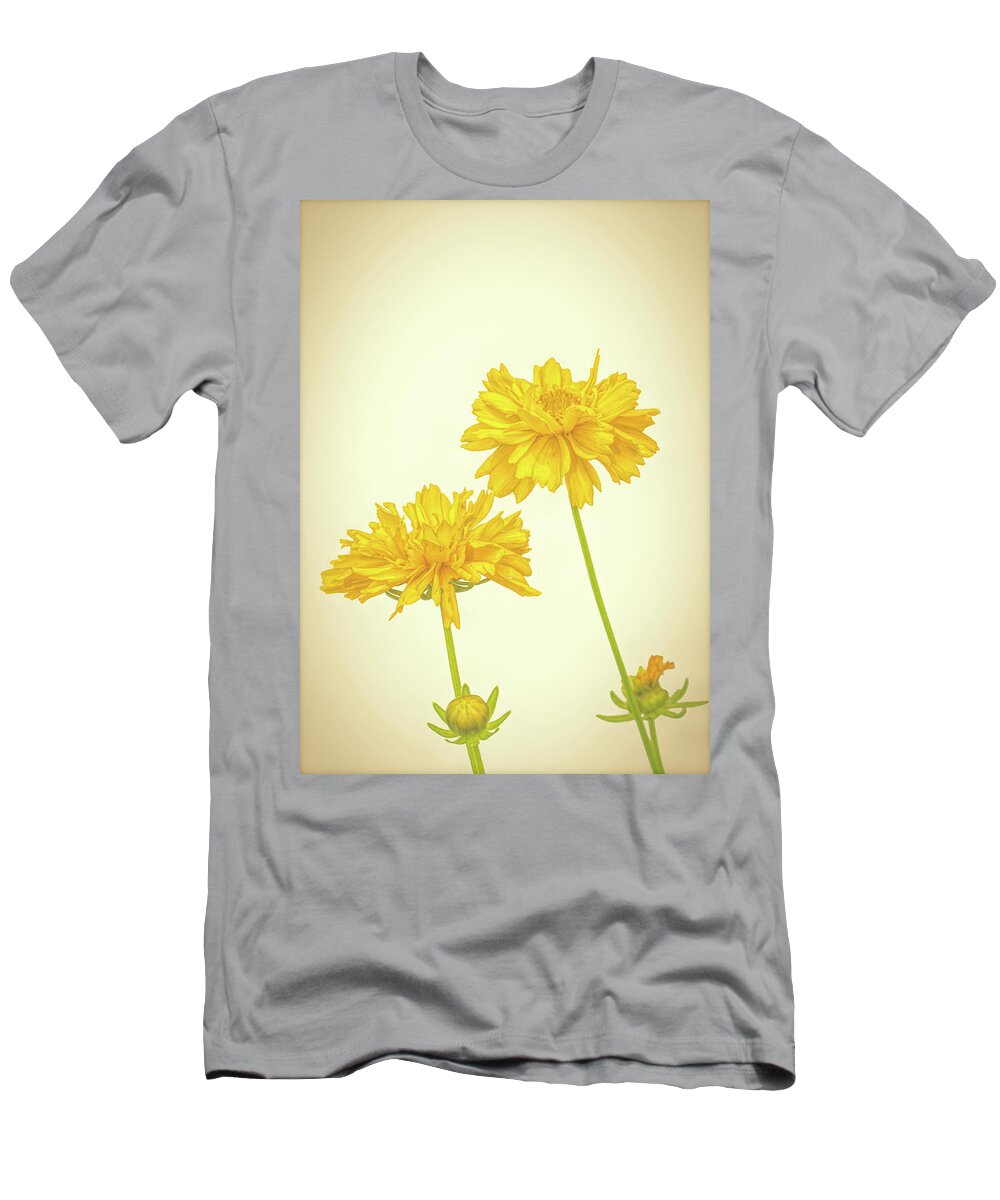 High Key T-Shirt featuring the photograph Coreopsis by Allin Sorenson