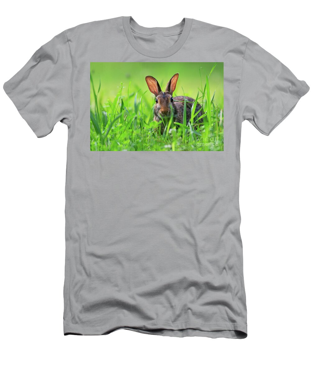 Bunny T-Shirt featuring the photograph Cottontail rabbit in the grass by Rehna George