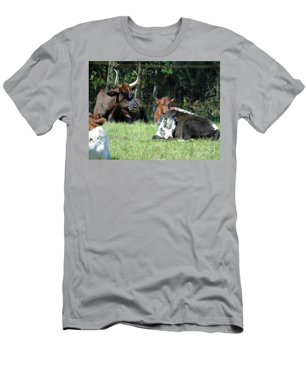 Dudley Farm T-Shirt featuring the photograph Cows In The Field - Dudley Farm by D Hackett