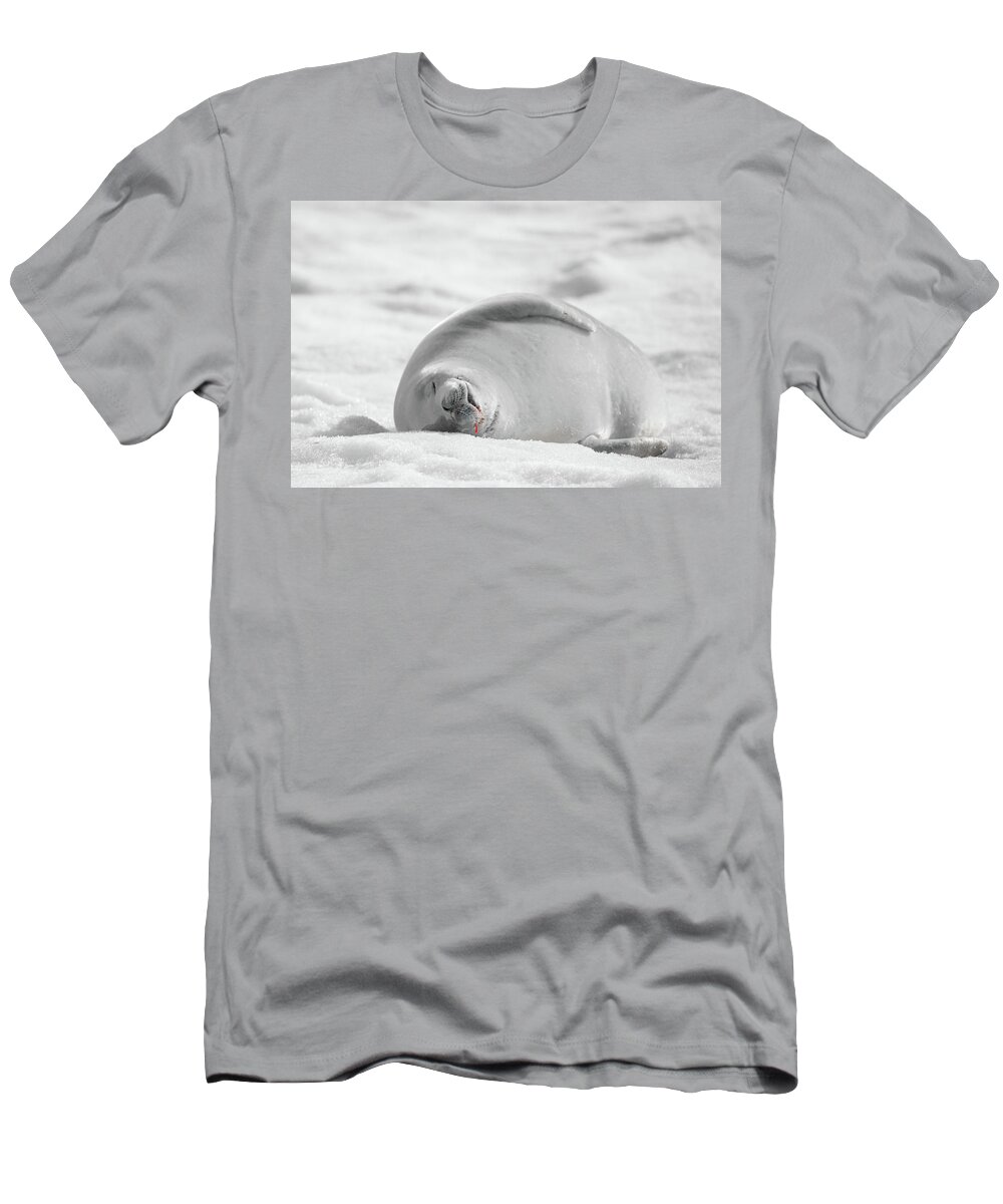 04feb20 T-Shirt featuring the photograph Crabeater Seal Frozen Drool Pile BW-SC by Jeff at JSJ Photography
