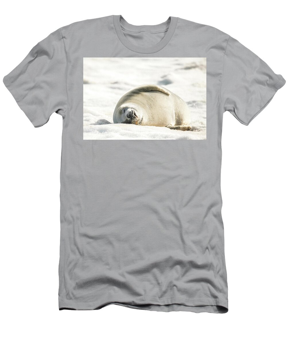 04feb20 T-Shirt featuring the photograph Crabeater Seal Frozen Drool Pile Raw Color by Jeff at JSJ Photography