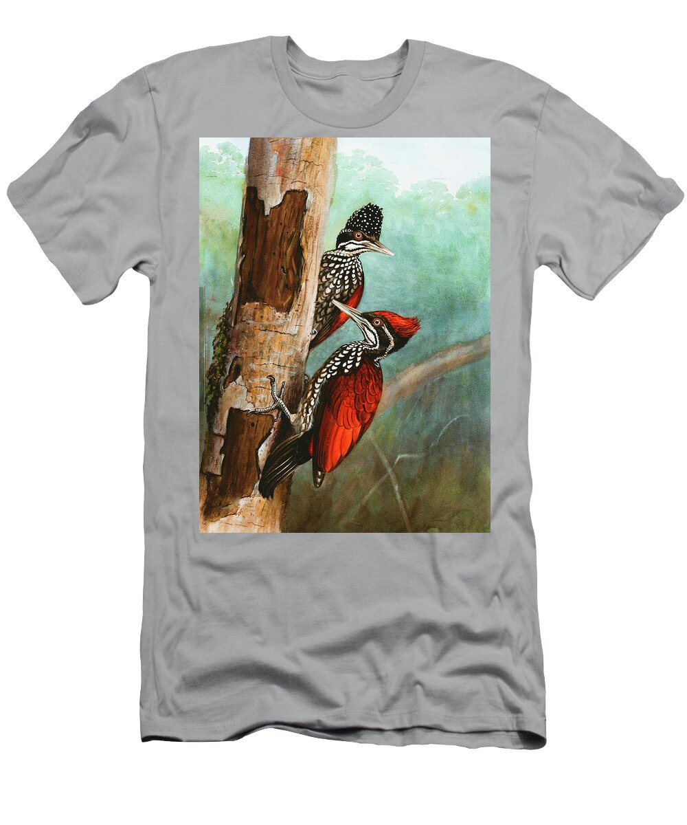 Crimson T-Shirt featuring the painting Crimson-backed Woodpeckers by Long Shot