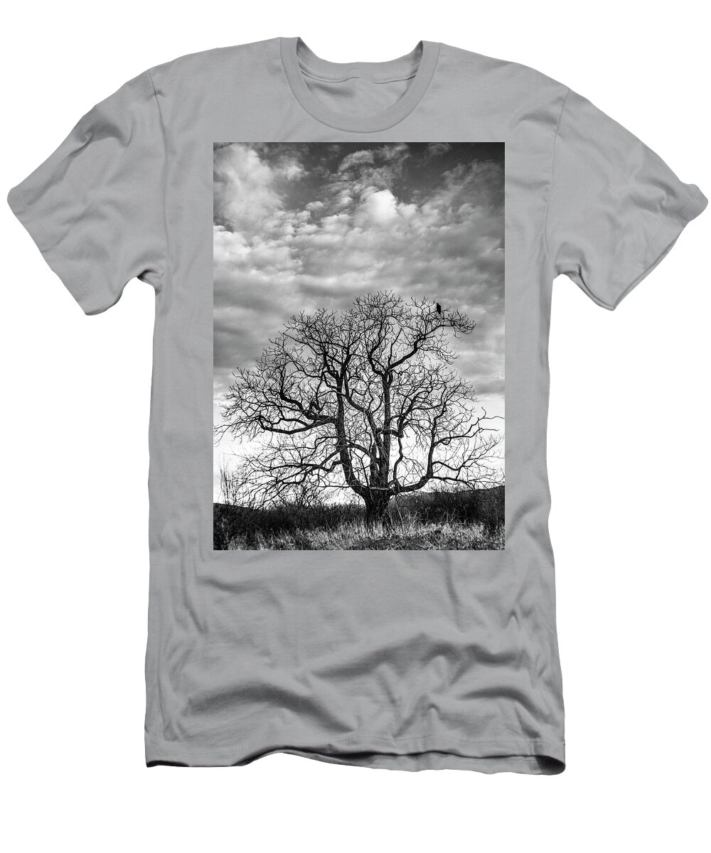 Crow T-Shirt featuring the photograph Crow by Tony Locke