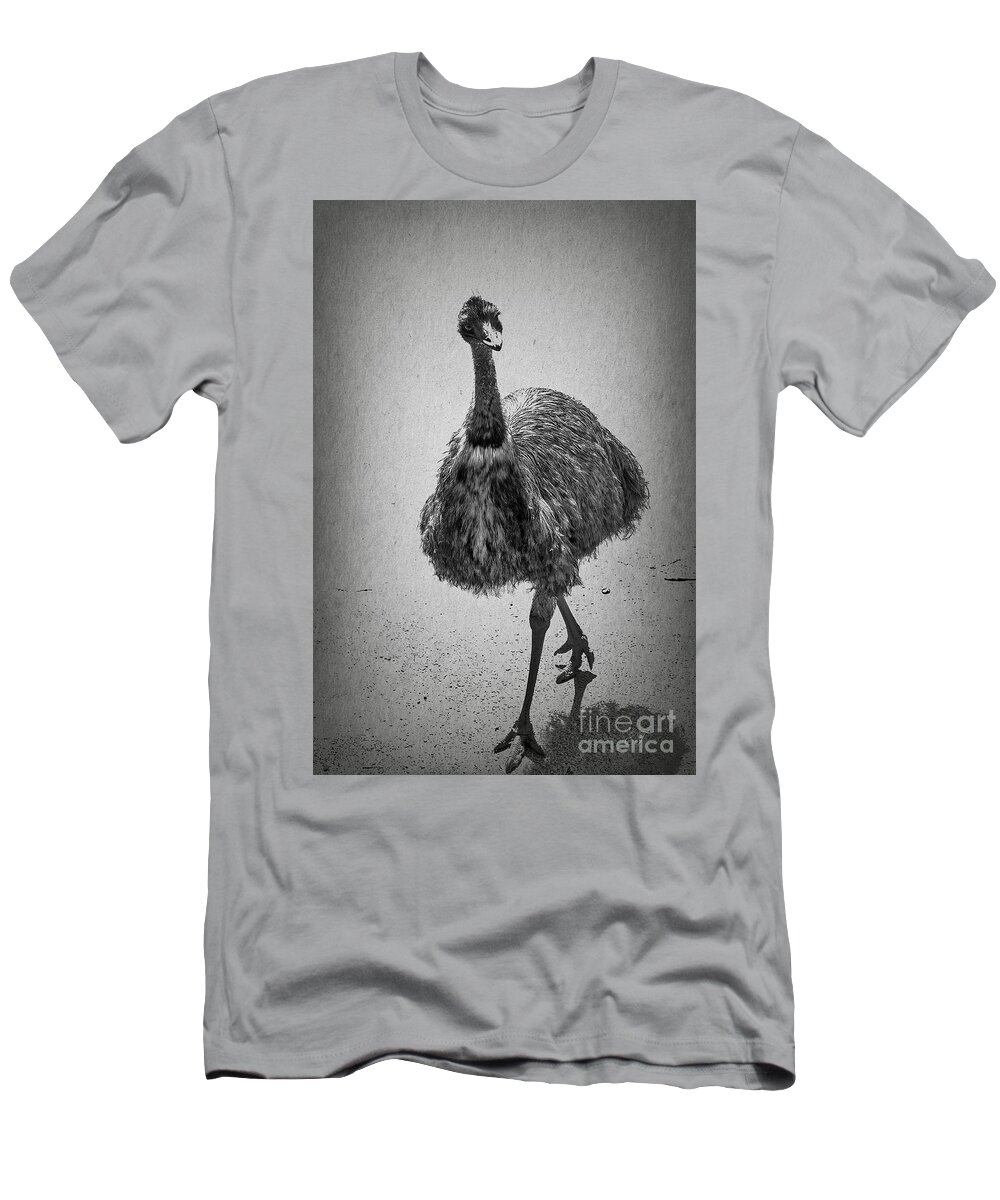 Emu T-Shirt featuring the photograph Curious Emu by Elaine Teague