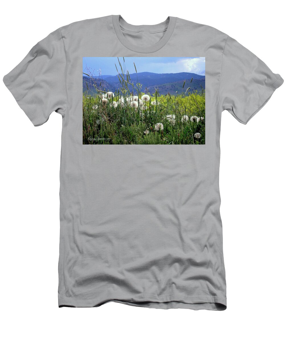 Dandelion T-Shirt featuring the photograph Dandelions and Mountains by Kathryn Alexander MA