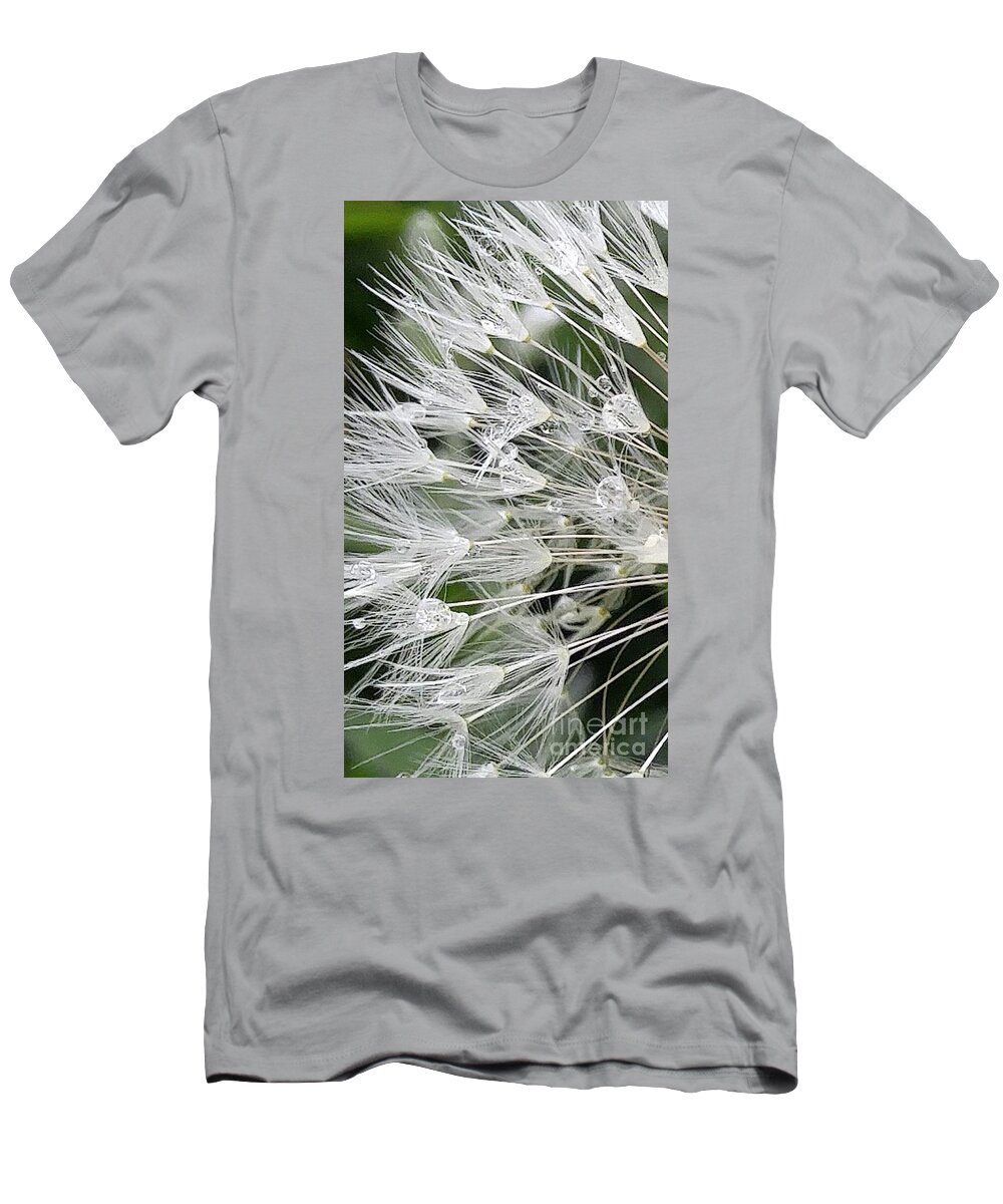 Dandelion T-Shirt featuring the photograph Delicate Flare by Kimberly Furey