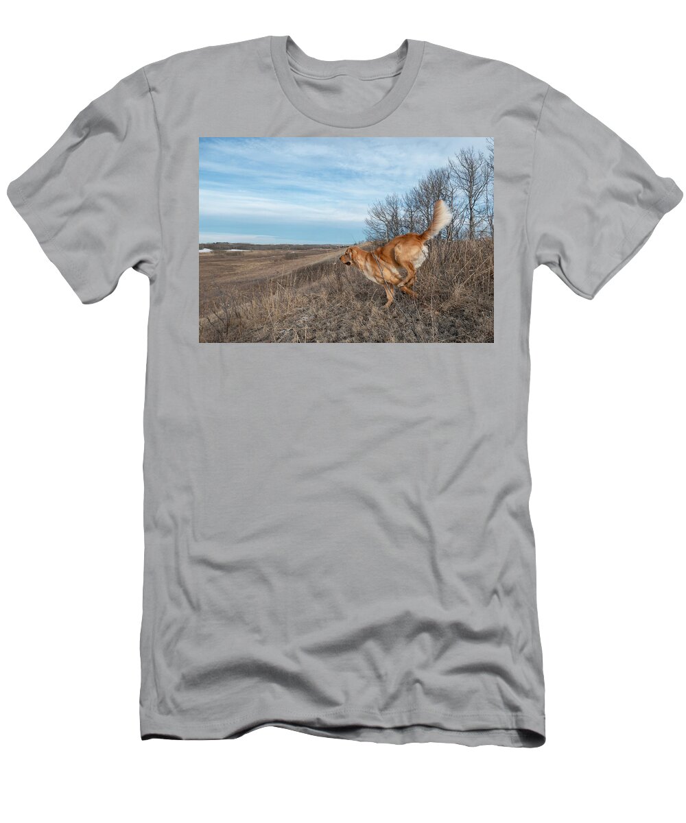 Dog T-Shirt featuring the photograph Dog Running In A Field by Karen Rispin