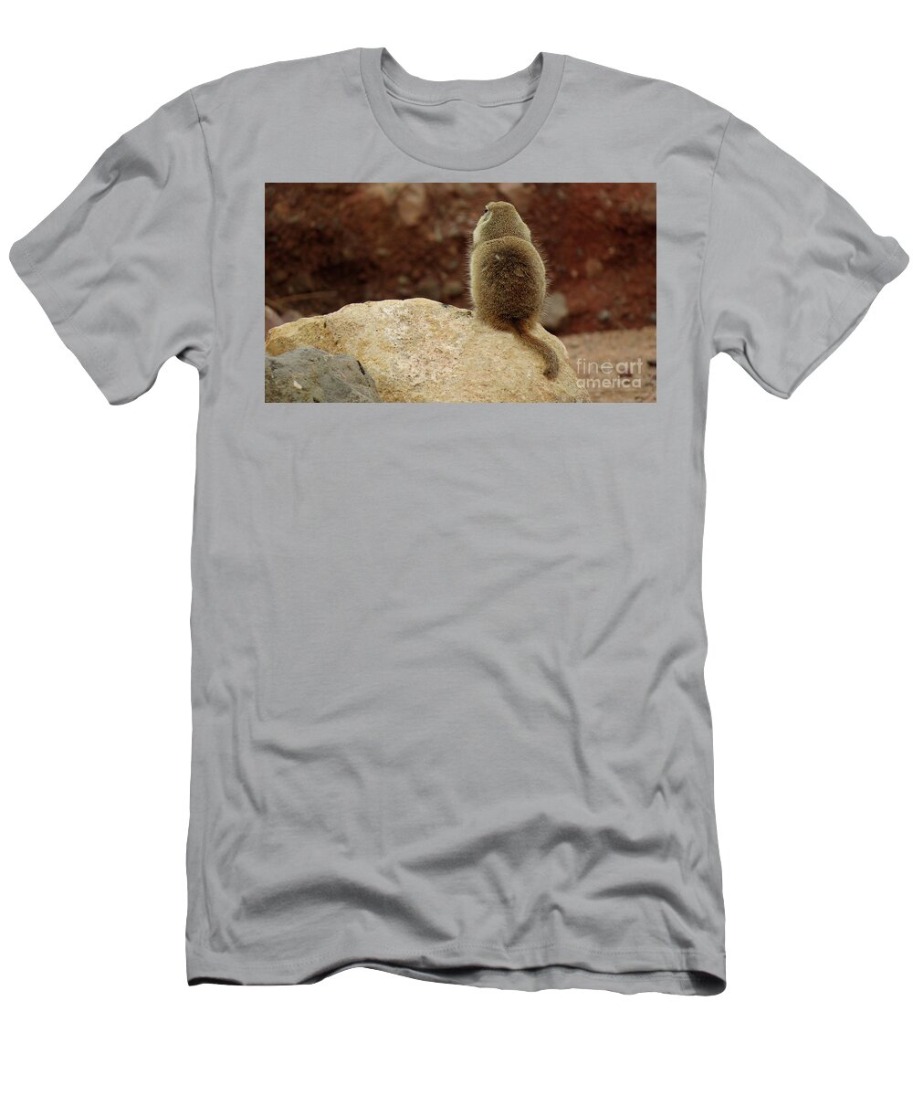 Animals T-Shirt featuring the photograph Don't Talk To Me by Mary Mikawoz
