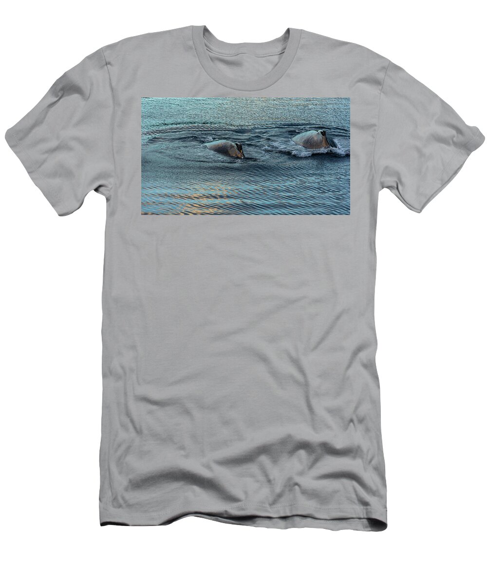 Alaska T-Shirt featuring the photograph Double Hump Alaska by Nicholas McCabe