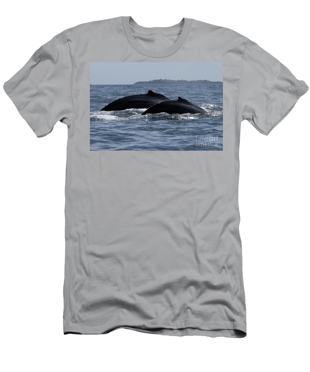  T-Shirt featuring the photograph Double Whale Backs by Loriannah Hespe