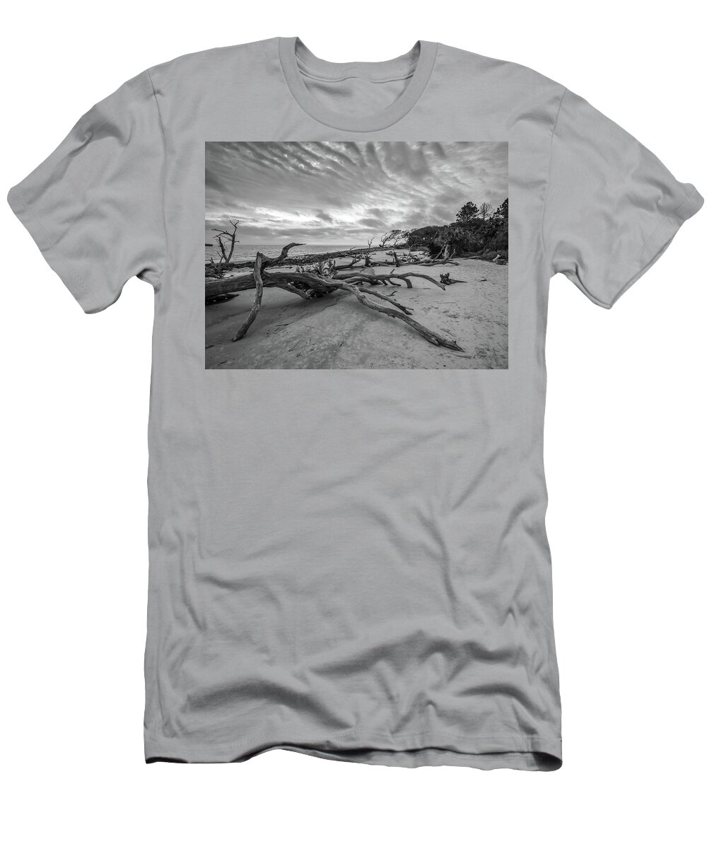 3-nature T-Shirt featuring the photograph Drift wood beach photograph by Louis Dallara