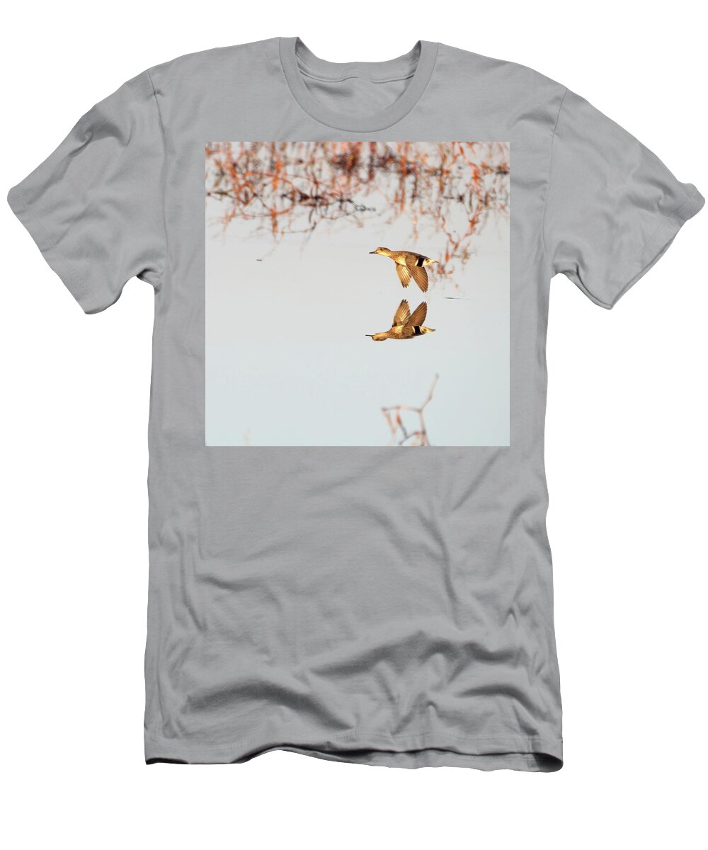 Duck T-Shirt featuring the photograph Duck in Flight with Reflection by Flinn Hackett