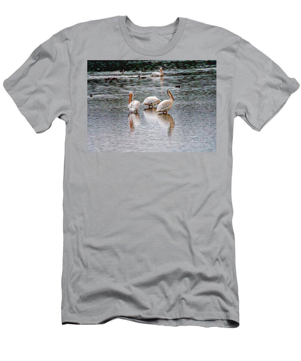 American White Pelican T-Shirt featuring the photograph Early Morning Pelicans by Debra Martz