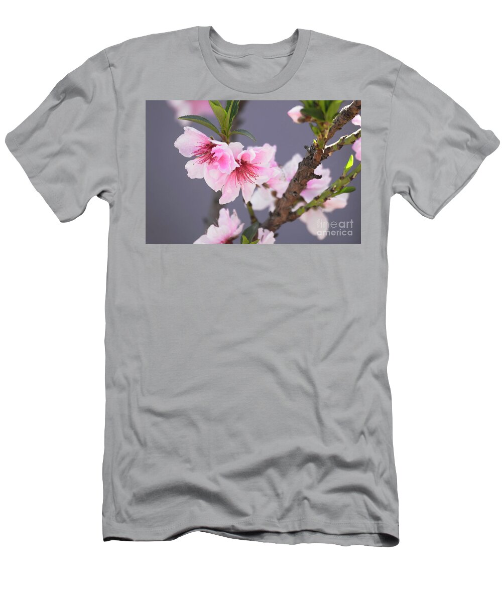 Plum Tree T-Shirt featuring the photograph Electric Plum Blossom by Ruth Jolly