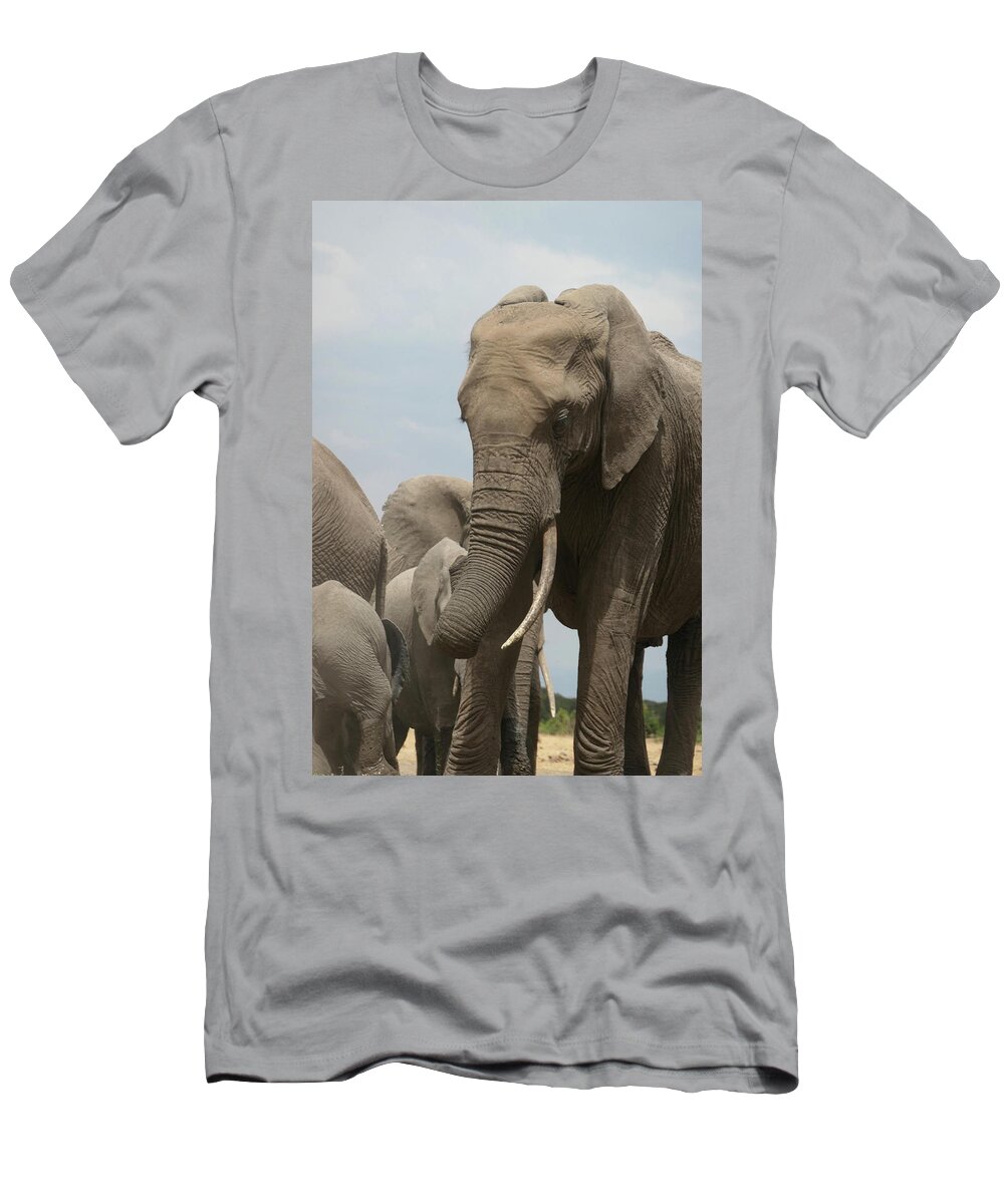 Elephant T-Shirt featuring the photograph Elephant family by Phil And Karen Rispin