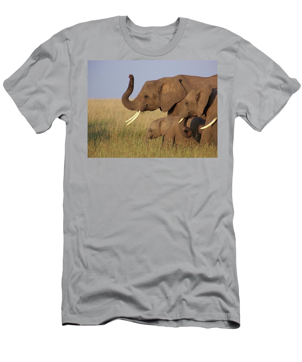 Elephant T-Shirt featuring the photograph Elephant family with baby by Adam Reinhart