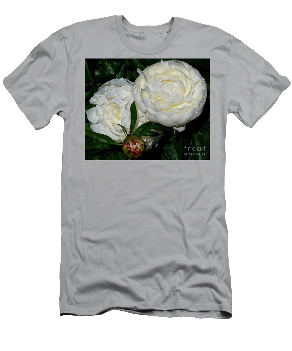 Peony T-Shirt featuring the photograph Elsa Sass after Rain by Stephanie Weber
