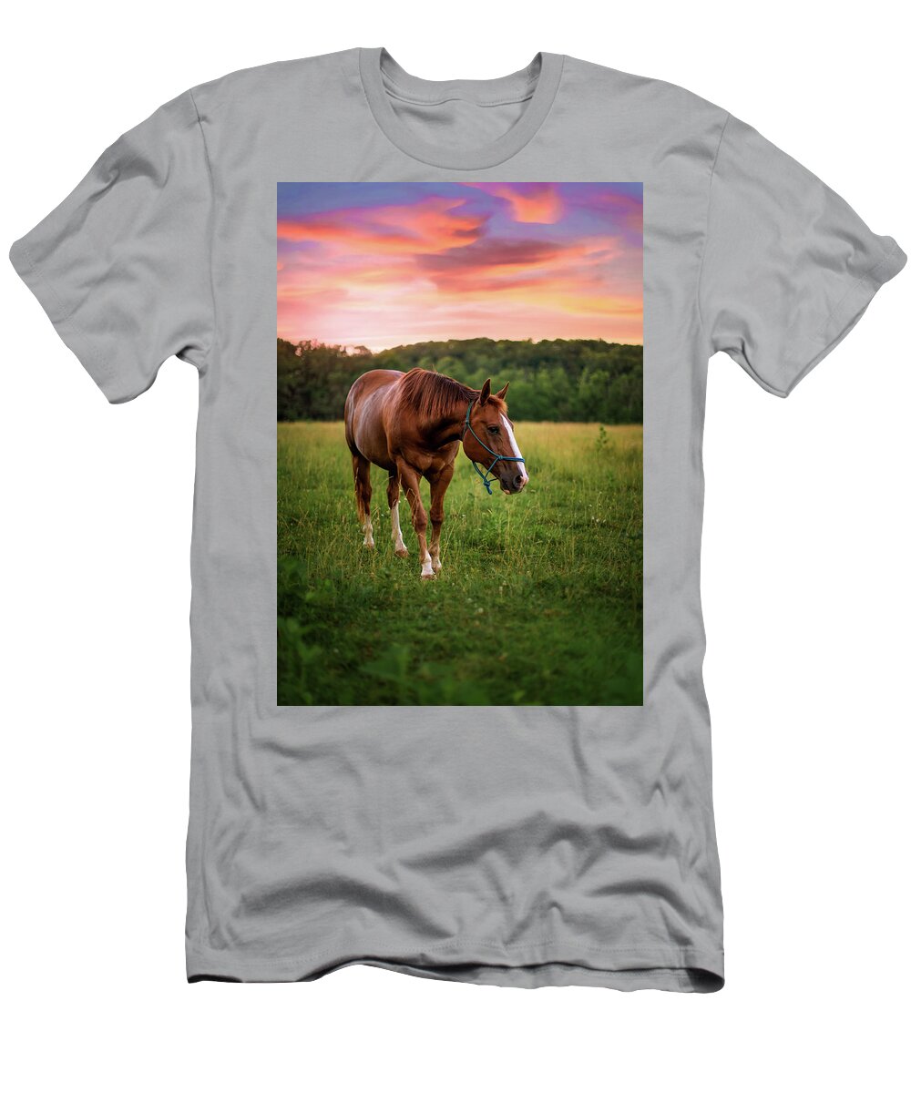 Horse T-Shirt featuring the photograph End of Reign by Tricia Louque