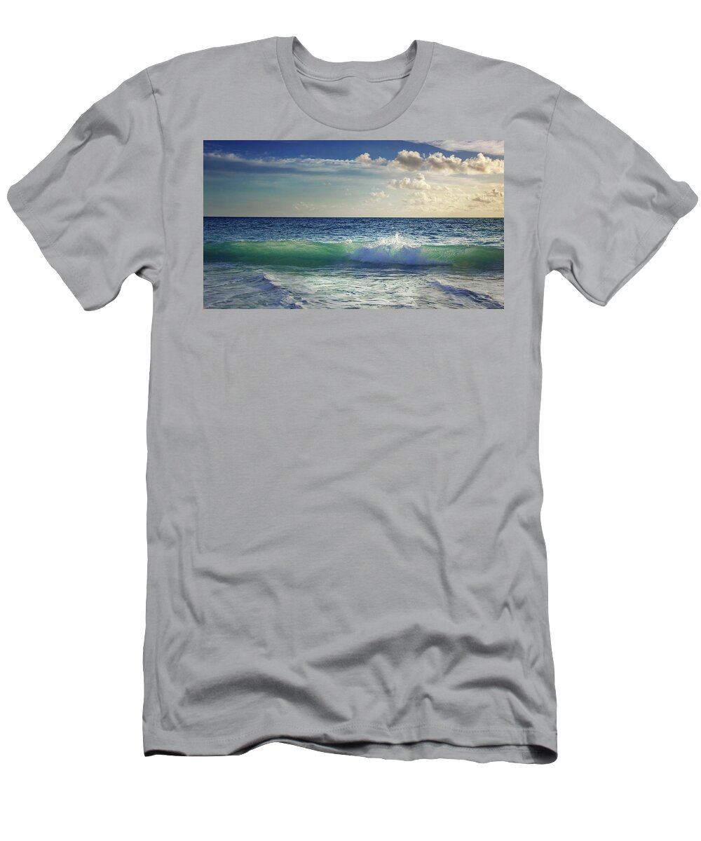 Juno Beach T-Shirt featuring the photograph Envy by Rebecca Herranen