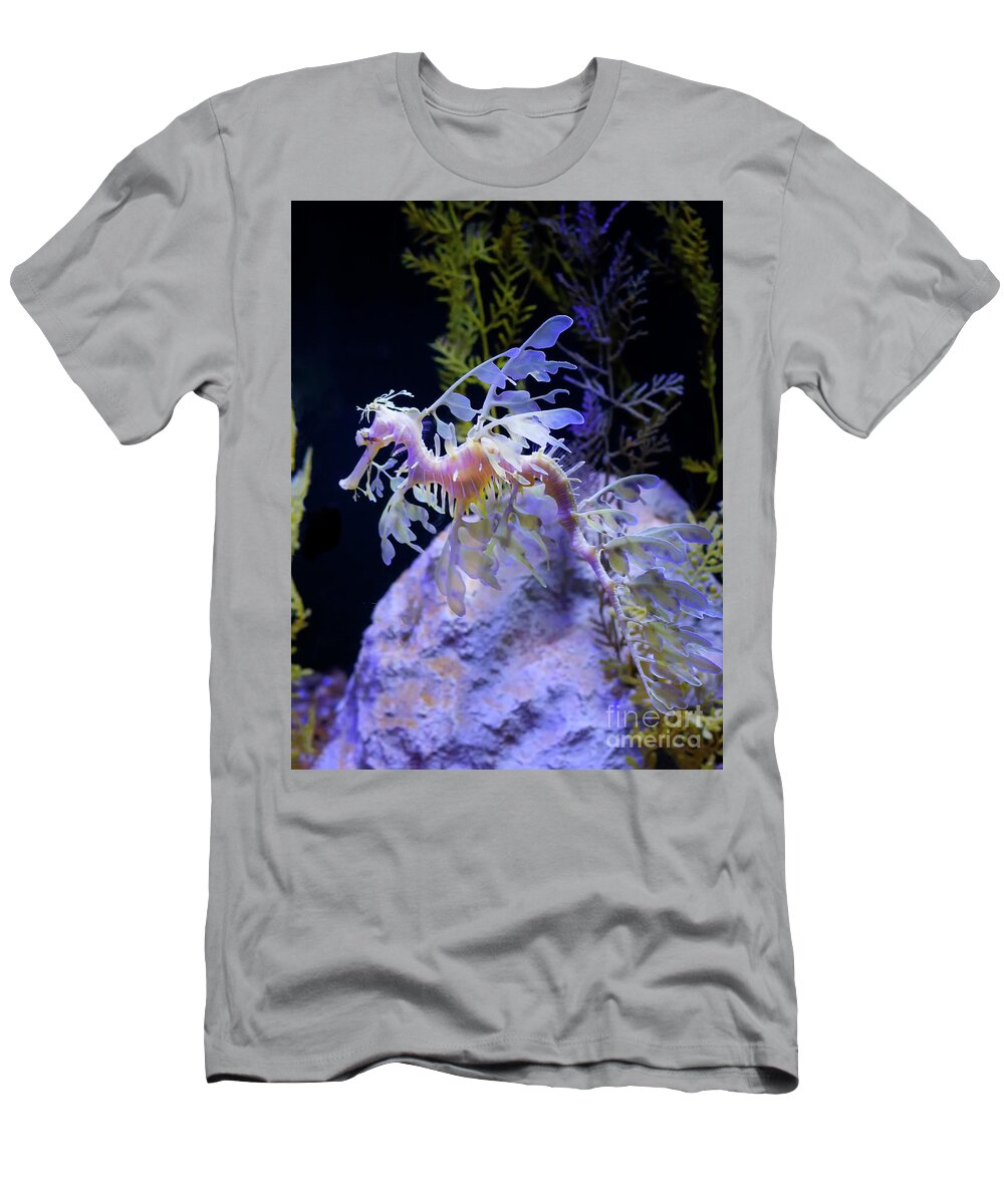 Leafy Sea Dragon T-Shirt featuring the photograph Exotic Leafy Sea Dragon by Ruth Jolly