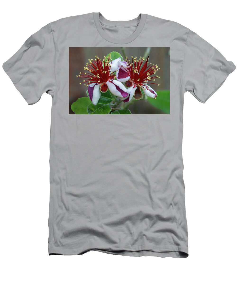 Feijoa T-Shirt featuring the photograph Feijoa Twins by Terence Davis