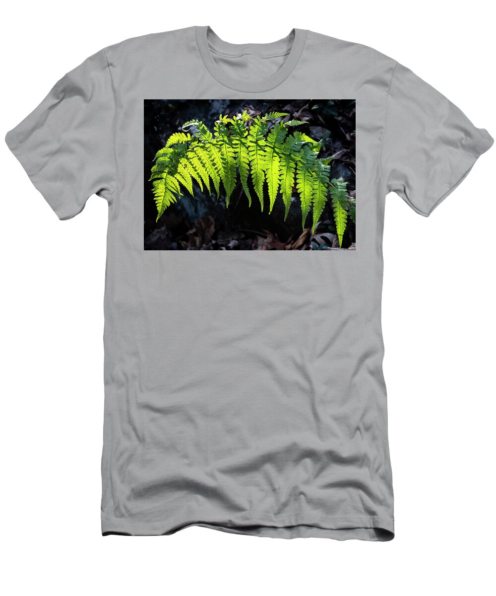 Fern T-Shirt featuring the photograph Fern and Sunshine by Carol Senske