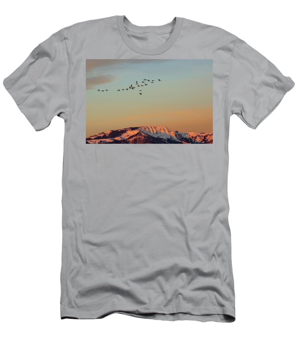 Nature T-Shirt featuring the photograph First Flight at First Light by Mike Lee