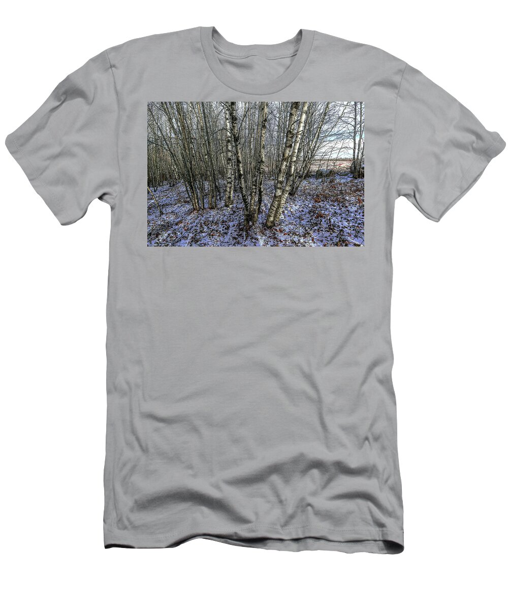 First Snow Birches T-Shirt featuring the photograph First Snow Birches 3 by Marty Saccone